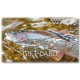 Gift Card Goflyfish