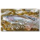 Gift Card Goflyfish